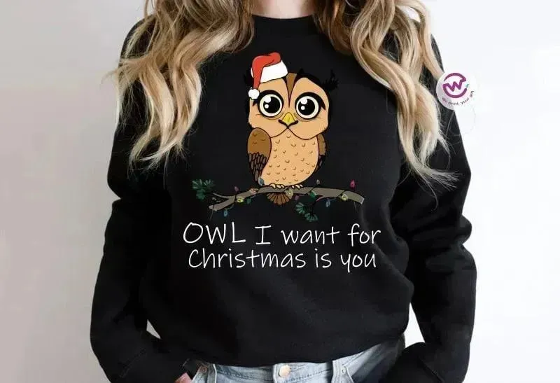 Adult Hoodies - Christmas -Owl