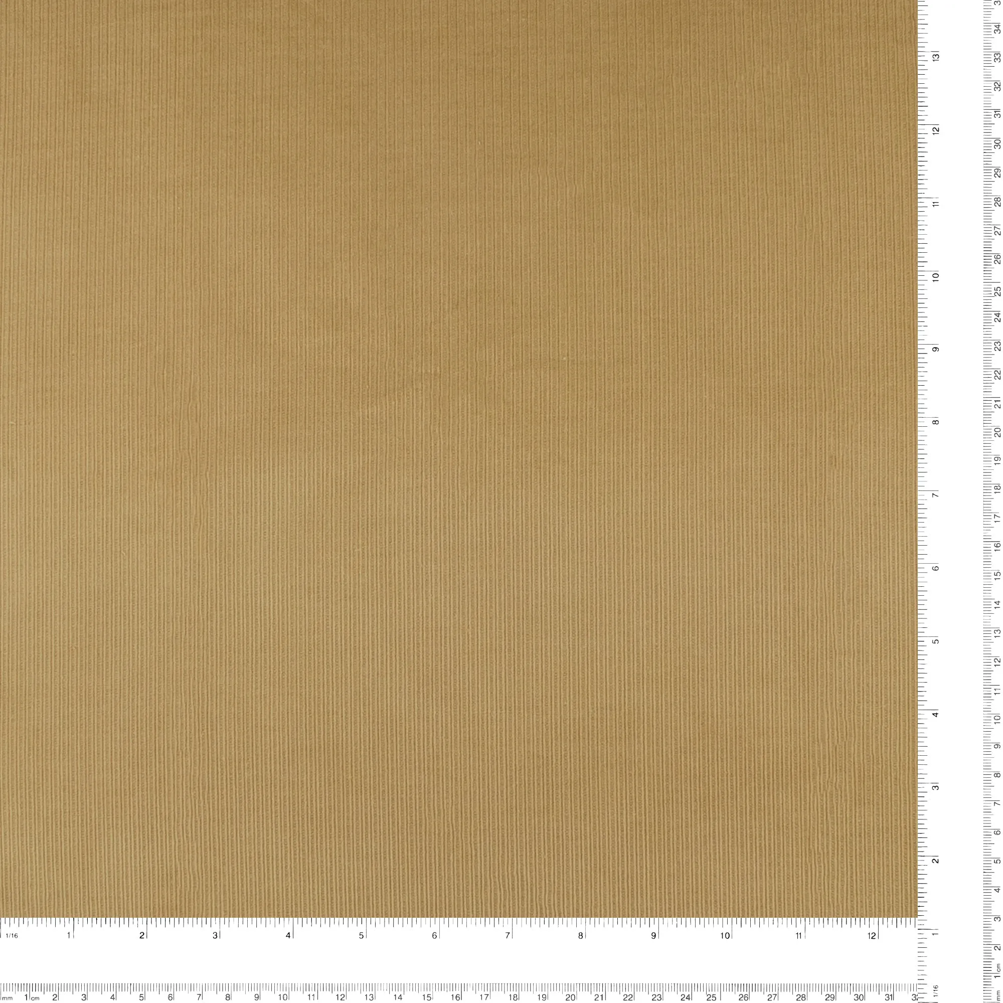 Corduroy - CRAYON - 008 - Tan